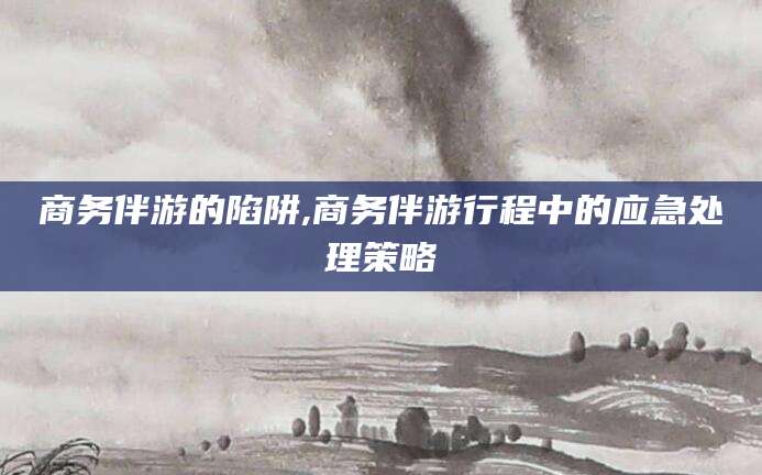 敦煌商务伴游的陷阱,商务伴游行程中的应急处理策略